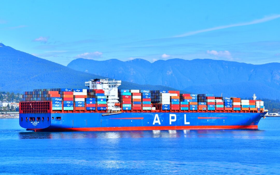 Vrachtschepen: Wat vervoeren ze wereldwijd?